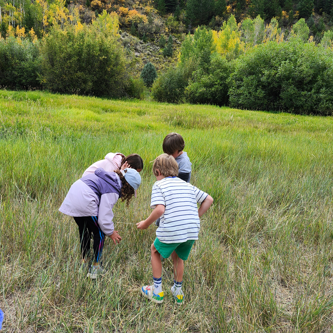 Children playing outdoors