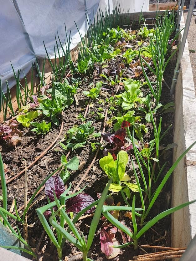 AD_4nXcrPCN6vErz08Fqv6LTeboK0RtLOzRllTRovKOPnWOzxSsdIu7wndn906_zEsgL7a05Lj-bKB4uG3u9ik0fwIUa9eZ860OFojillnMxeEEYgB-P66vMYaQ5