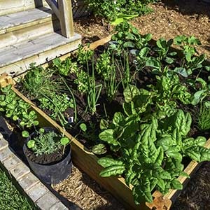 Adding-Compost-To-Your-Garden
