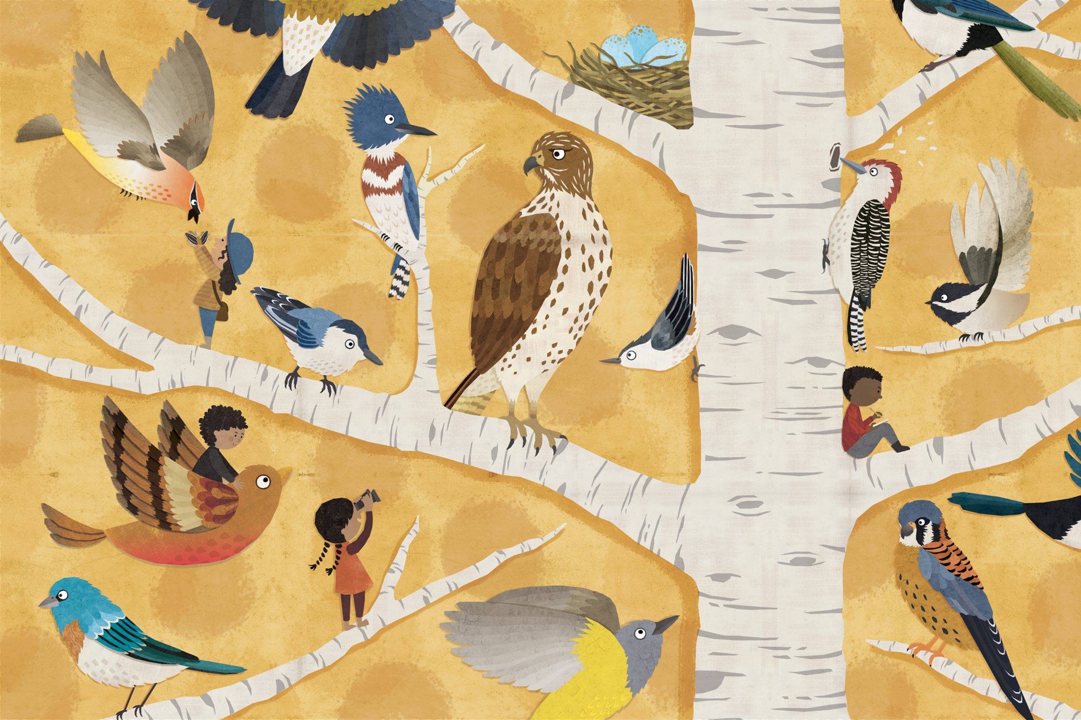 Illustration from Alice Fegan's "Wonder Seekers" Art Exhibit in partnership with Walking Mountains