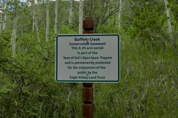 Bufferh-Creek-EVLT-Signature-600x400