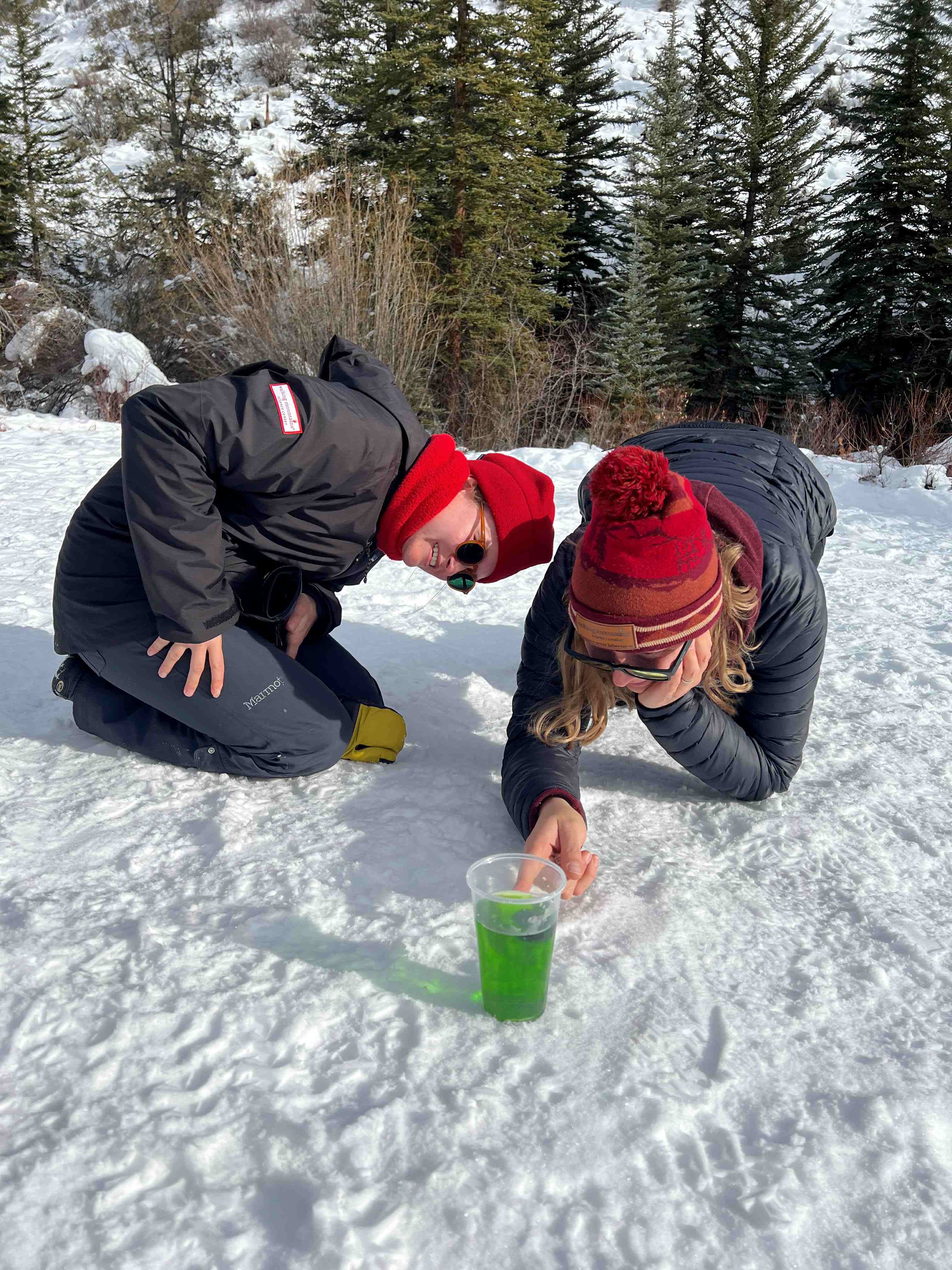 Life in the Cold Day