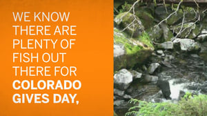 Colorado Gives Day Eagle County