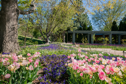 Denver Botanic Gardens