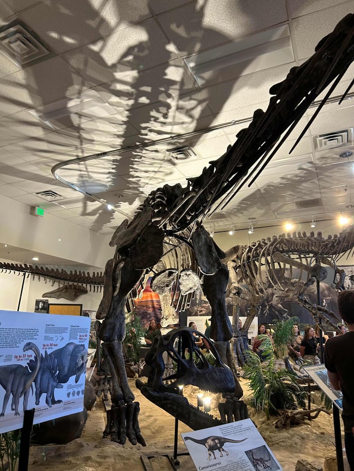 Dinomuseum