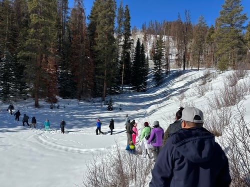 EVOM Snowshoe Sylvan Lake