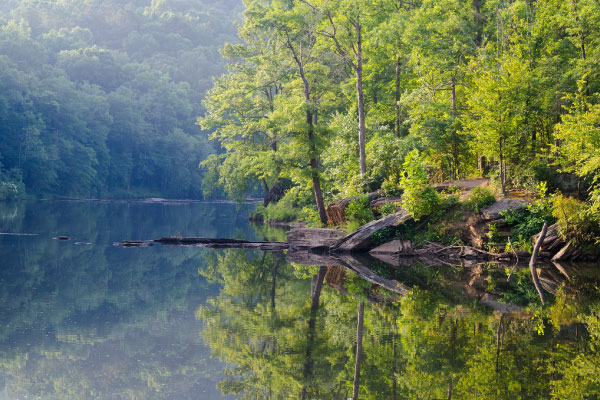Early-Sunrise-Sweetwater-Creek-State-Park-600x400
