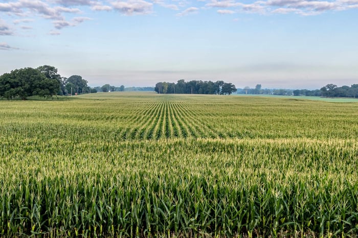Fields