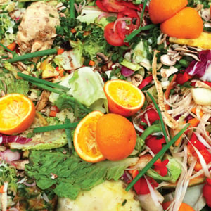 Food-Waste-Blog-Photo