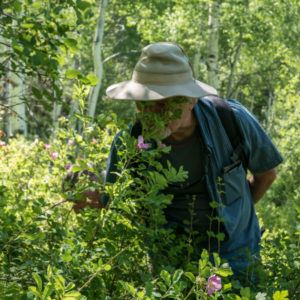 Forest-Bathing-Therapy-300x300