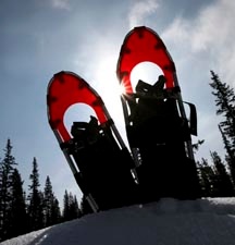 Free Guided Family Snowshoe Tours of Vail Colorado