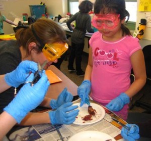 Girls In Science Walking Mountains 2