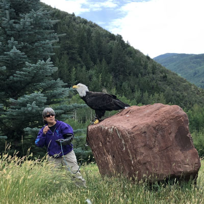 Hawk-Quest---Walking-Mountains,-Avon-2019--2-400x400
