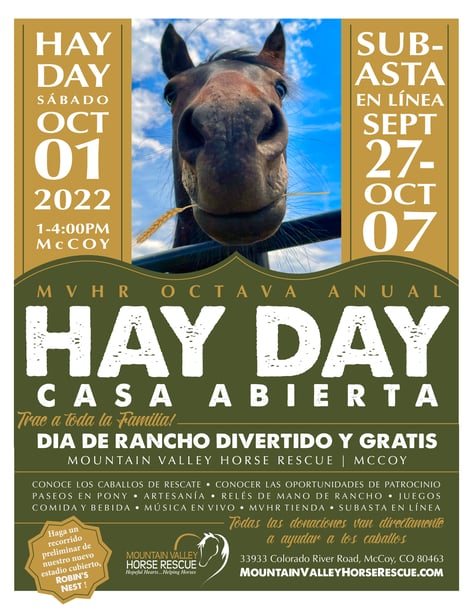 Hay Day 2022 8.5x11 Flyer SPANISH