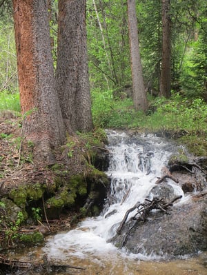 Hiking-Martin-Creek-Minturn-Colorado-1_web