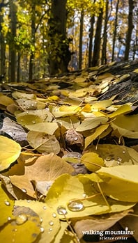 Hiking-Whitney-Lake-Colorado-Fall-Colors_Web