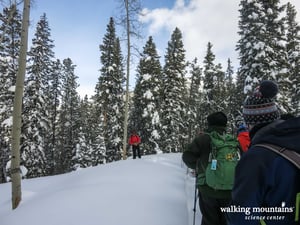 Snowshoe Trail Tennessee Pass Colorado Trail