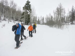 Snowshoe Stagg Gulch Squaw Creek Cordillera Colorado