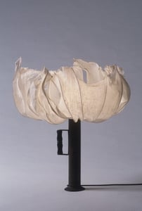 The Science Behind Papermaking