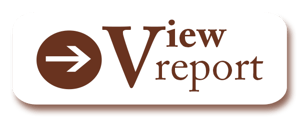 View-Report_Brown