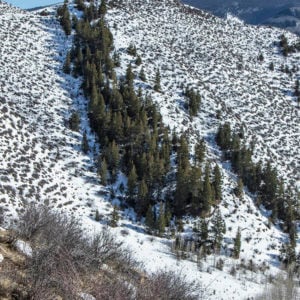 Winter Slope Aspect Impacts Snowpack