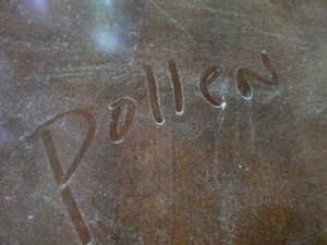 Pollen in the Vail Valley Yellow Lodgepole Pine Pollen