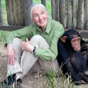 Jane-Goodall-300x300