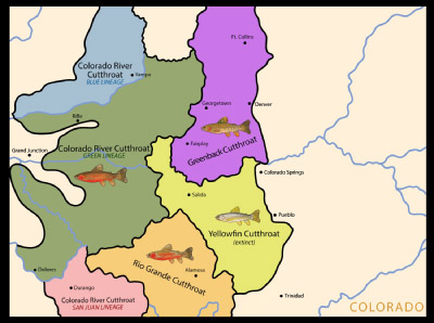 Map-from-Trout-Unlimited-400x400