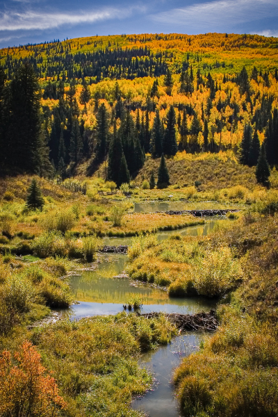 McClure Pass Beaver Ponds