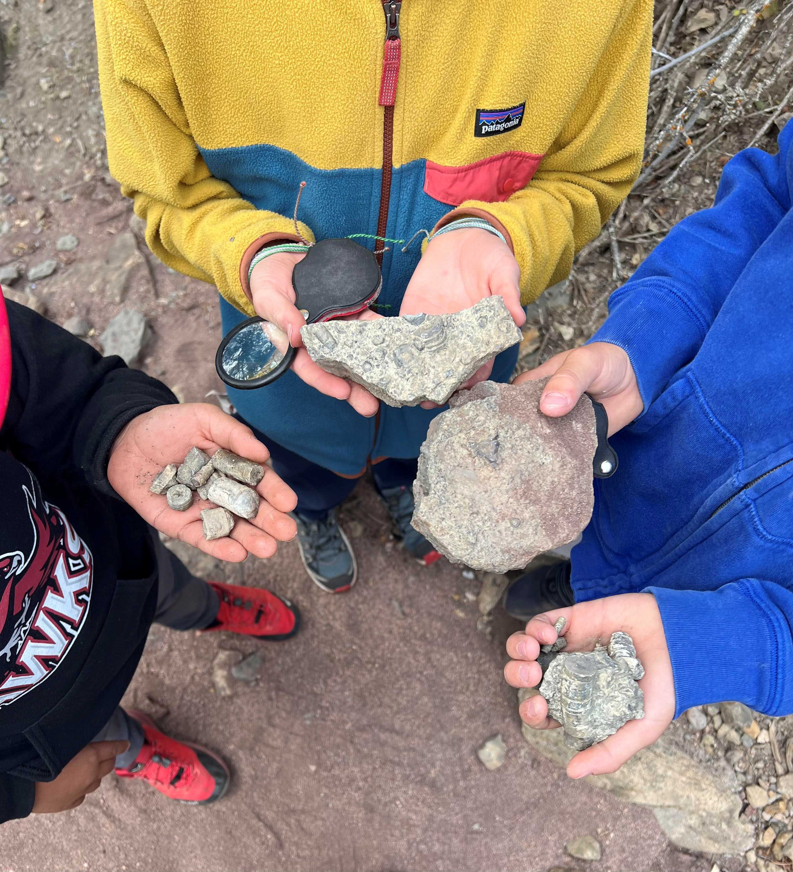 Students from Eagle County Schools examine fossils near McCoy, Colorado.