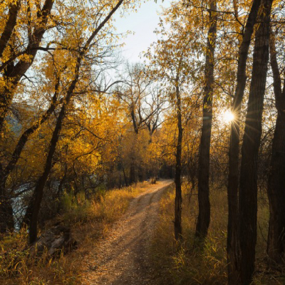 Miller-Ranch-Open-Space-Autumn-400x400