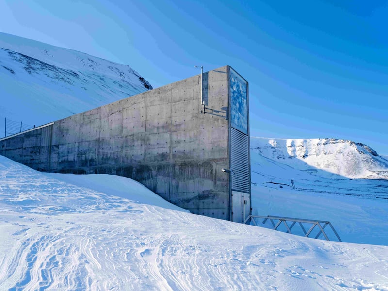 Seed Vault