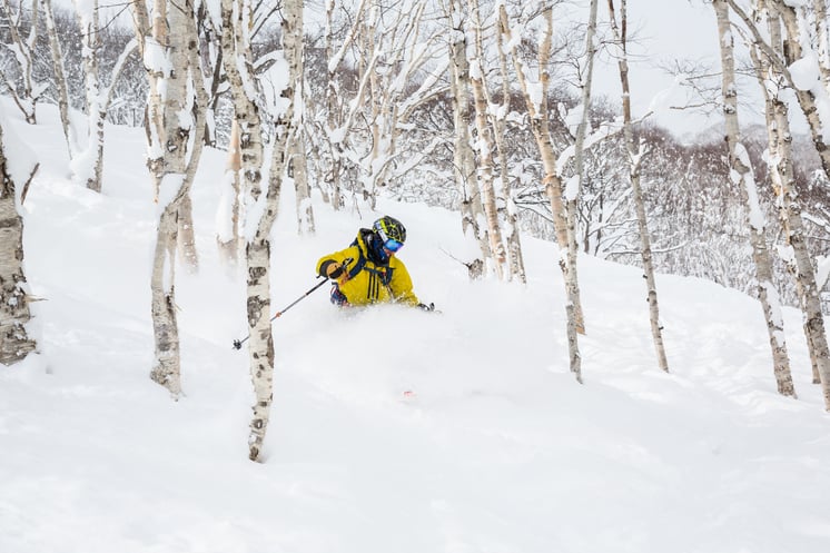 Skiing Tree Run