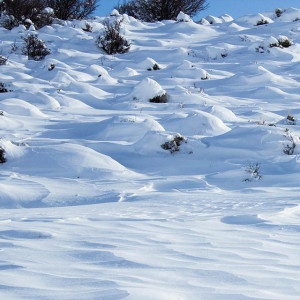 Snowpack in Colorado-1