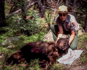 Black Bear and Forest Service
