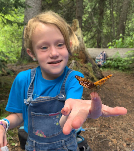 Summer-Camper-Butterfly