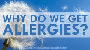 The Science Behind Allergies and Why We Get Allergies
