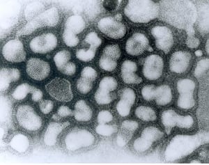 The Science Behind Influenza