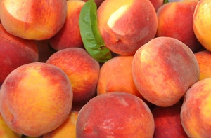 The-Colorado-Peach-Harvest
