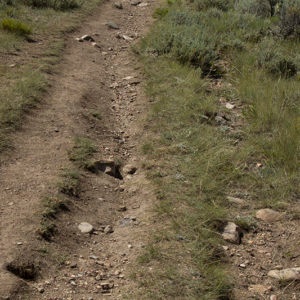 TrailDamage_2-300x300