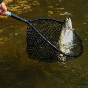 Trout-Fishing-Eagle-River-Colorado-300x300