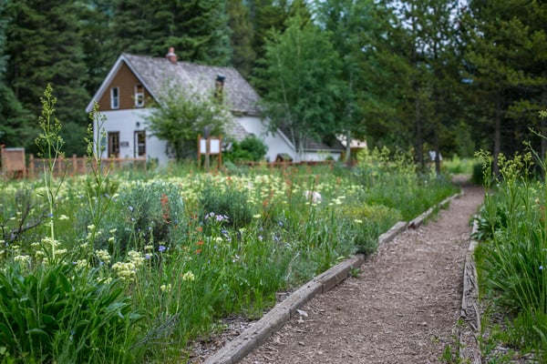 Vail-Nature-Center