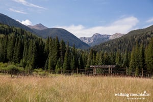 WMSS Knapp Ranch 2017 (40 of 120)