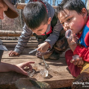 Walking-Mountains-School-Field-Science-Programs-300x300