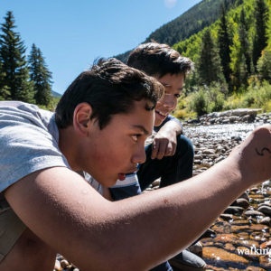 Walking-Mountains-Science-Center_STEM-River-Clean-Up-12-of-58-300x300