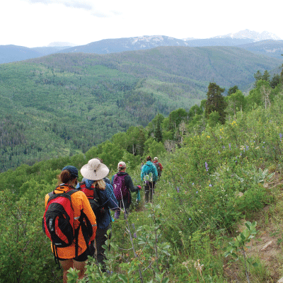 When-Principles-Matter