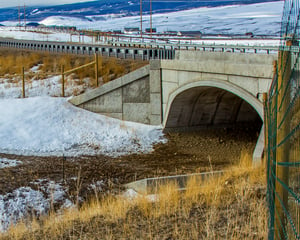 Wildlife Overpass in Colorado