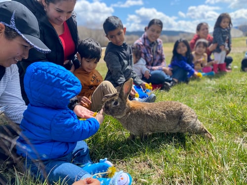 Young Kid With Bunny at WM Event