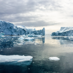 icebergs melting