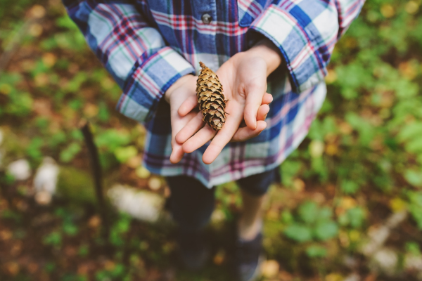 kid exploring wild forest 600x400